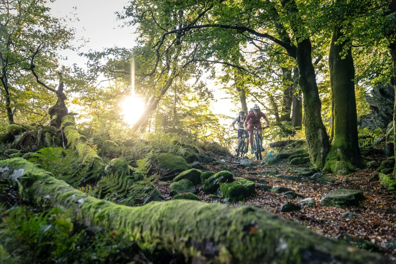 stonemanarduennadennisstratmann 151 scaled 1350x900